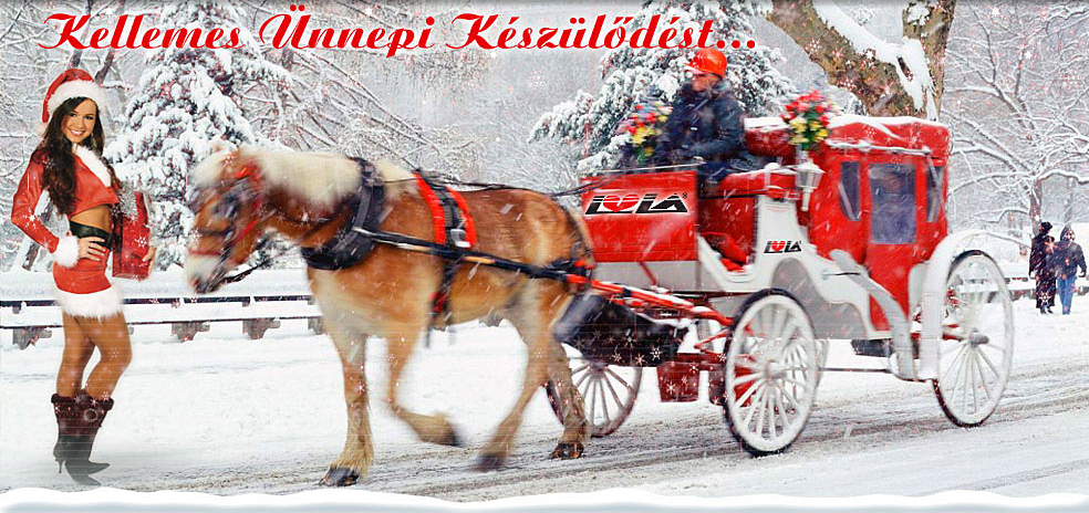 Lola munkaruha, munkaruh�zat, v�d�ruh�zat, v�d�szk�z, v�d�felszerel�s web�ruh�z, webshop